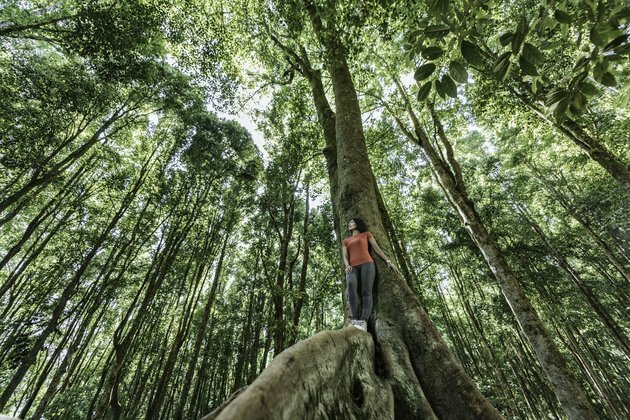 Keeping your cool in a warming world: 8 steps to help manage eco-anxiety