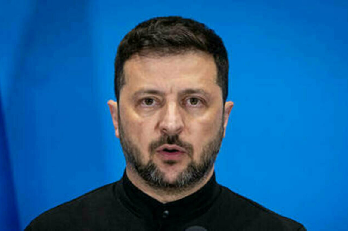Ukraine offered Russia timeframe for talks - Zelensky