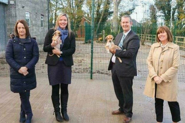 Poots: Paws For Thought when thinking about getting a puppy