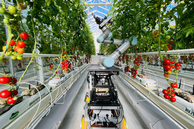 China's smart breeding industry blossoming in glow of AI-driven tech