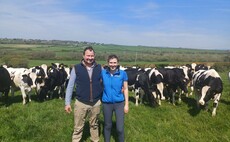 Health monitoring technology helps Welsh dairy farm drive down antibiotic use