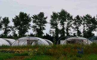 CAREERS: Charity joins prison to help ex-offenders tap into agricultural careers