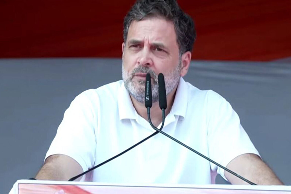 "IYC babbar shers will not fear anyone": Rahul Gandhi backs "shirtless" protest at AI summit