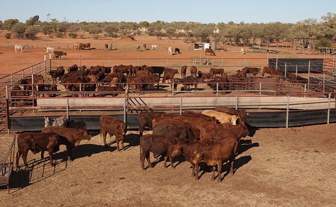 Farming anger as UK signs deal with Australia that is void of common sense