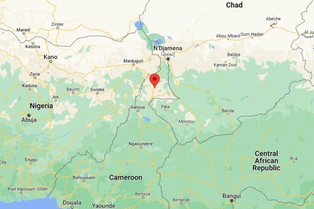 Cameroon Struggling to Rein In Arms SmugglingFrom Chad, Nigeria