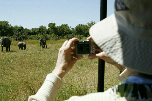 British and New Zealand tourists killed in elephant attack