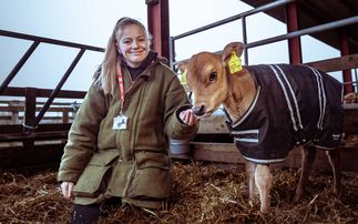 Farm donates Jersey cows to 'enhance' the farming experience for students