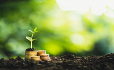 Hillhouse launches China incubation unit