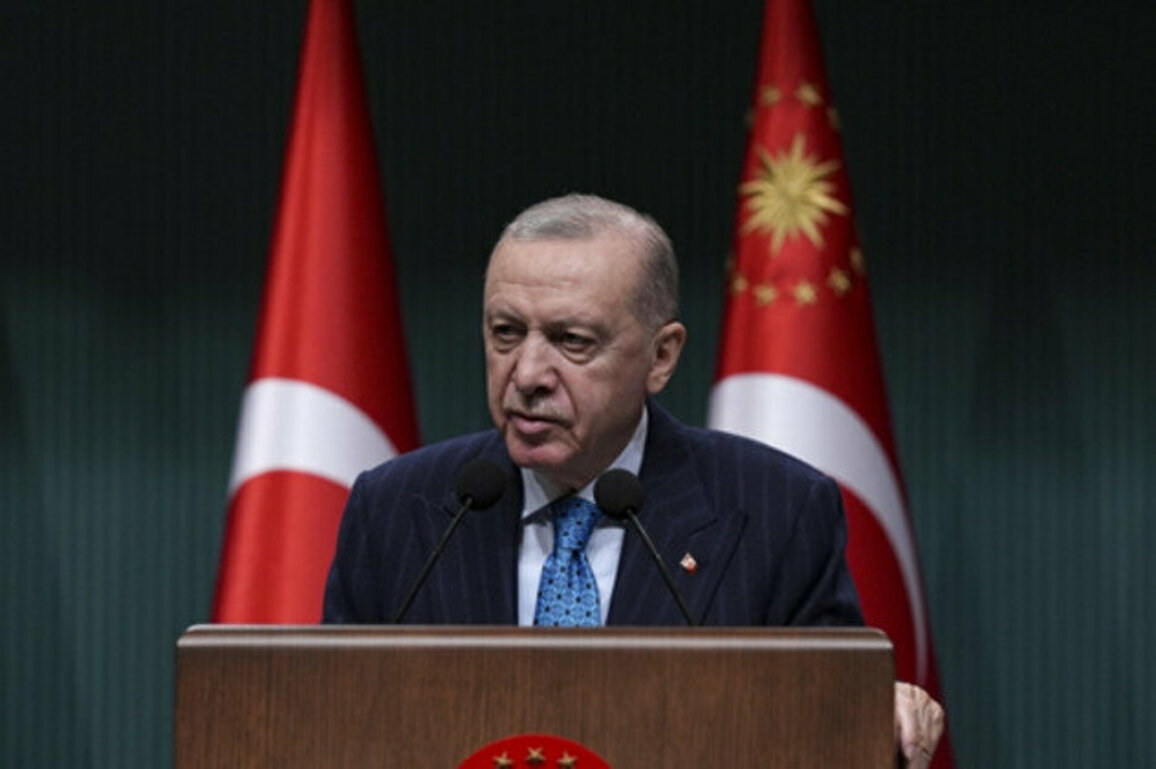Erdogan: Stability in Syria benefits countries of the region