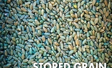 Download 'Research Report: Stored Grain And Seed Protectants - Preventing Pests' as PDF