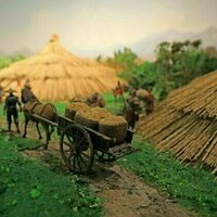 How human connections shaped the spread of farming among ancient communities