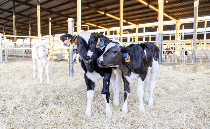 SenseHub Dairy is now compatible with pre-weaned, nipple-fed calves housed in groups.