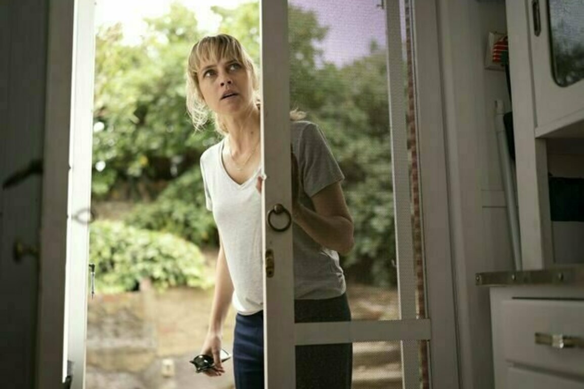 ABC's new suburban mystery The Family Next Door is understated and addictive