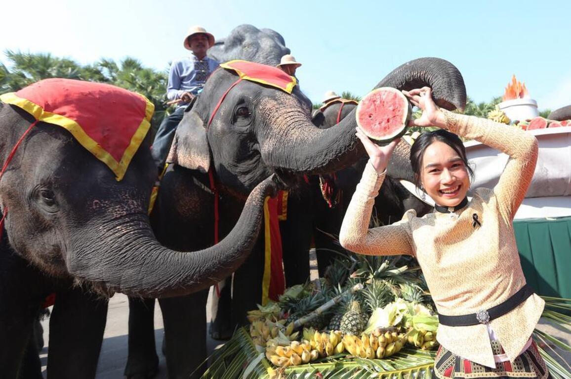 Asia Album: Thai National Elephant Day marked in Thailand