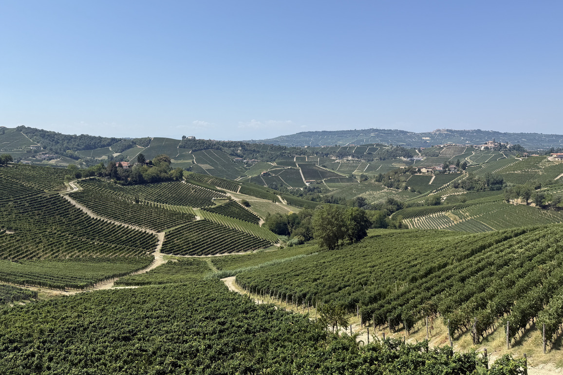 ITALY-WINE EXPORT-U.S. TARIFFS