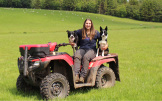 Young Farmer Focus: Beth Farmer: "Returning to shepherding full-time was without any doubt the right move for me" 