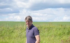 Introducing sheep to arable crops proves a win-win for one Scottish farmer