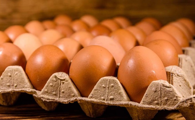 Barn eggs still important in UK market
