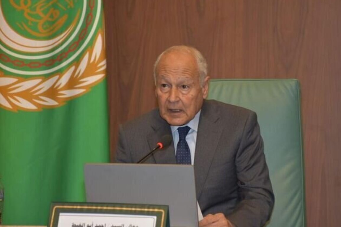 Arab League:UN Security Council's resolution on ending war in Gaza sets path toward genuine political solution