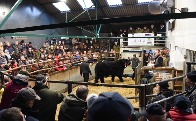 Future is bright for Farmers Marts