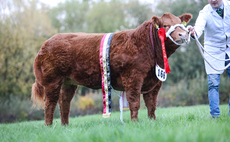 Alfords win Agrifest two years running