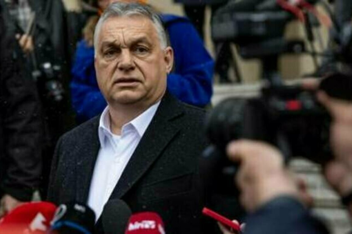No Ukraine in EU without Budapest's approval - Orban