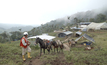 SolGold's Alpala camp in Ecuador
