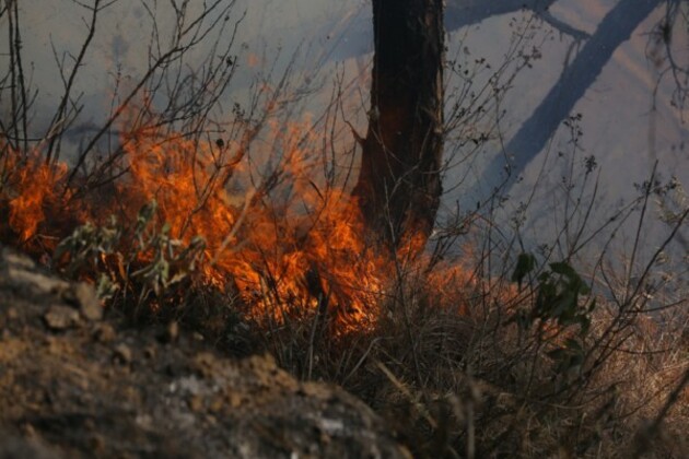 Nepal sticks to traditional measures to control forest fire as threat looms high