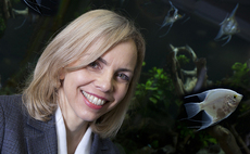 Q&A with Pantheon's Helen Steers