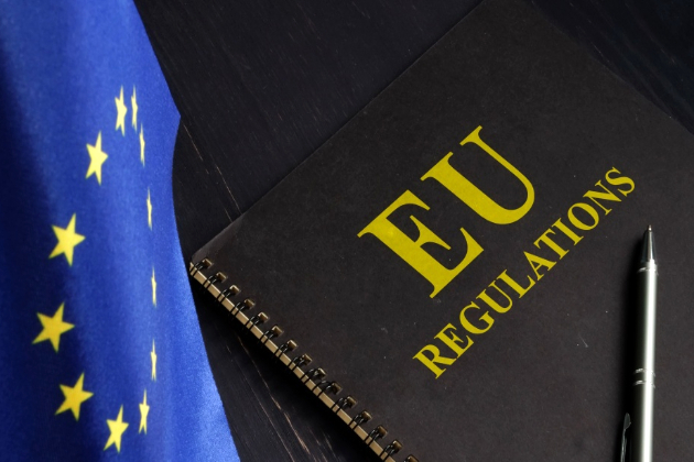 EU leaders recognize need to cut red tape, says Ireland's PM