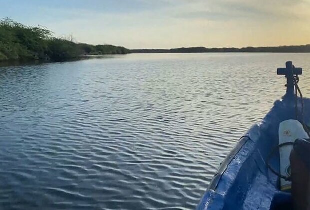 Thoothukudi pushes efforts for mangrove restoration after 2023 floods