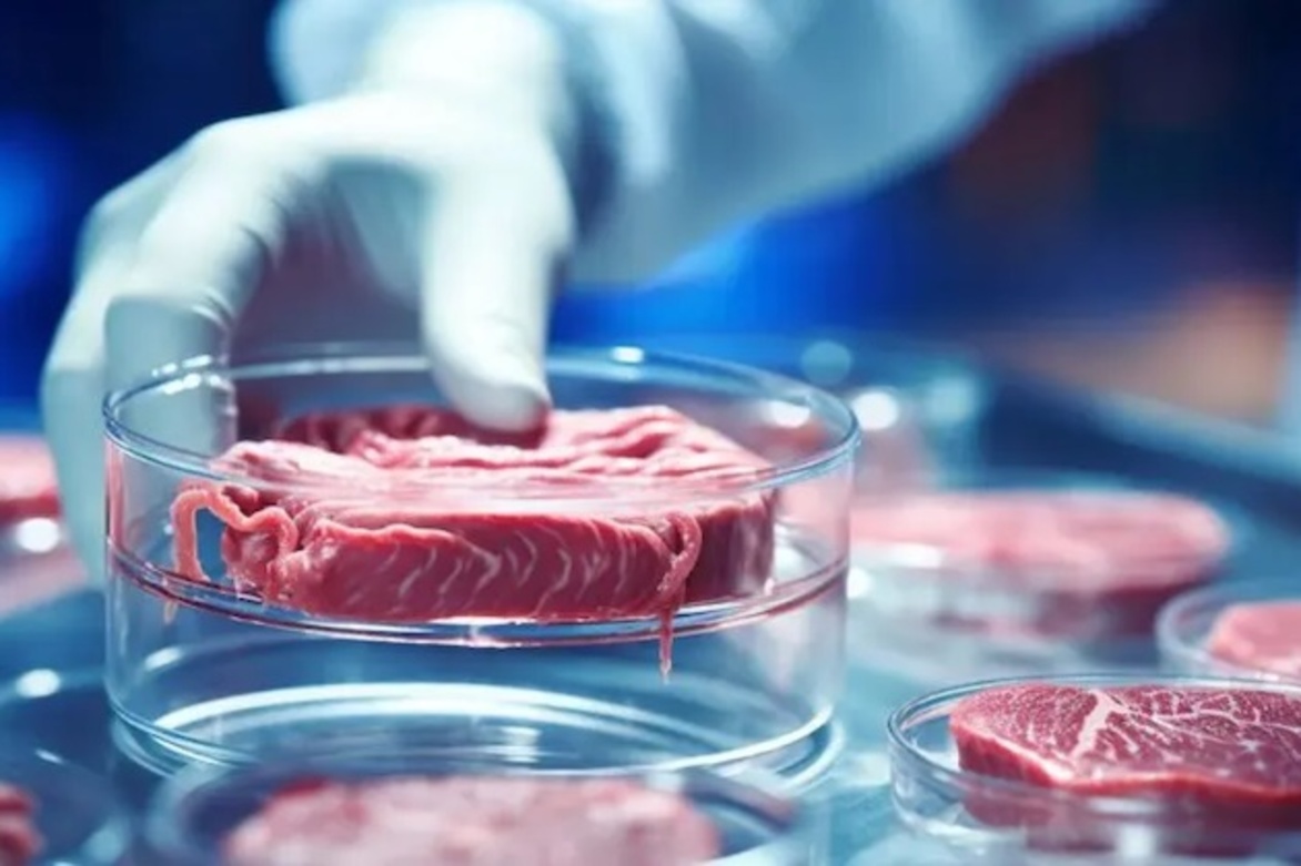 Factory Farms and the Growing Threat of Zoonotic Pandemics