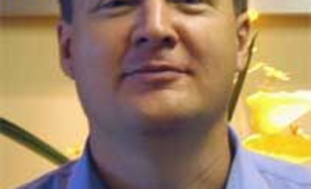 Seals under scrutiny