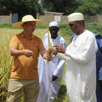 (Hello Africa) China-aided agricultural project helps boost Chad's food security