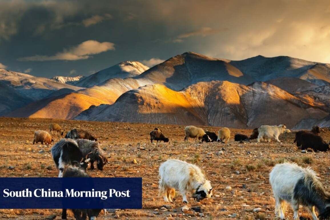 China moots Himalayan ark project to survive climate tipping point, with some AI help