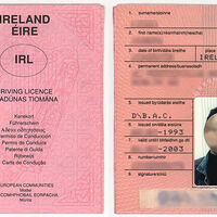 Only one conviction as thousands ignore licence ban rules in Ireland