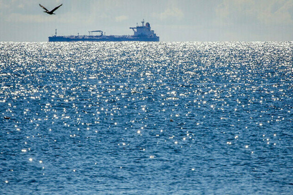 Indias imports of Russian oil rise  media