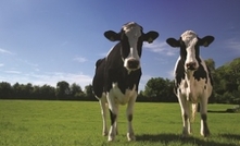 Positive survey results for Victorian dairy farmers