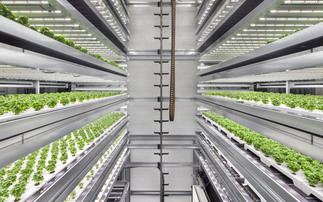 Infarm’s vertical farms can produce 500,000 plants a year | Credit: Infarm