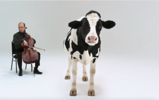 Should the UK ban plant-based produce from using 'meaty' language? Diving into the world of plant-based advertising