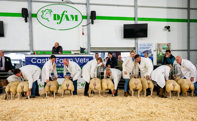 There is a total of 120 head of cattle and 98 pairs of lambs entered for North East Live 2025.