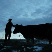 Sound recordings can give us an animals' eye view of the war in Ukraine
