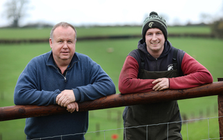 Females are the foundation of the Thornbury flock  