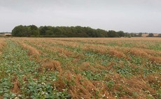 Conquering agricultural tax