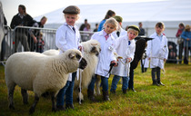 What might the future of UK farming really look like and why these next few years matter