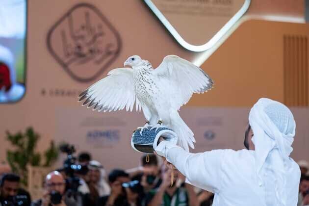 Falcon sets world auction record at AED2.1 million in Abu Dhabi