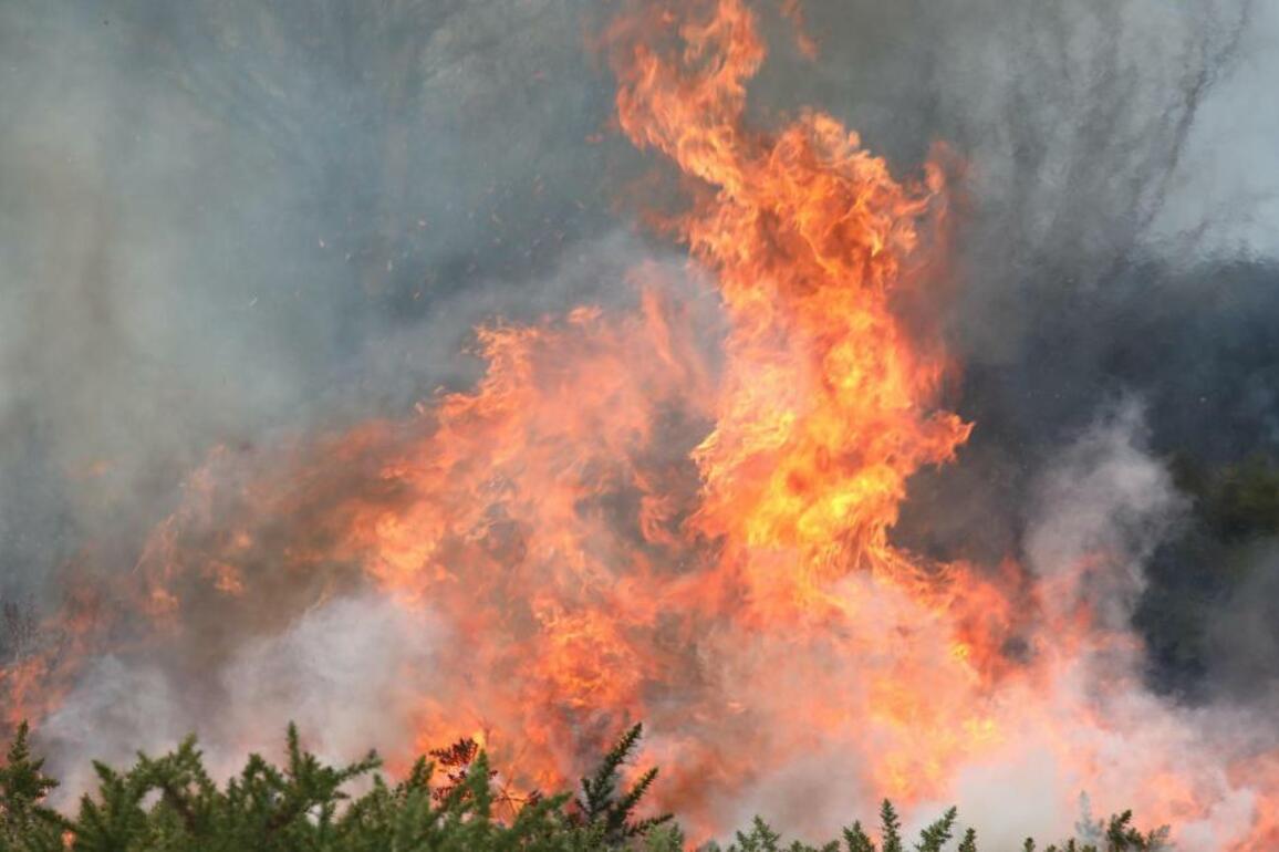 Extreme warning for wildfires issued across Scotland