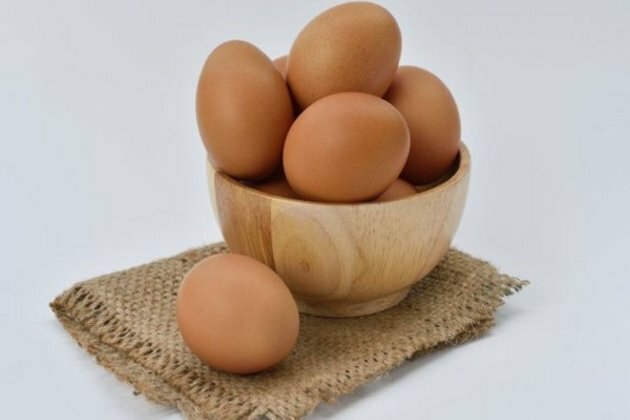 Japan: Egg prices surge amid record 16 million bird flu cullings