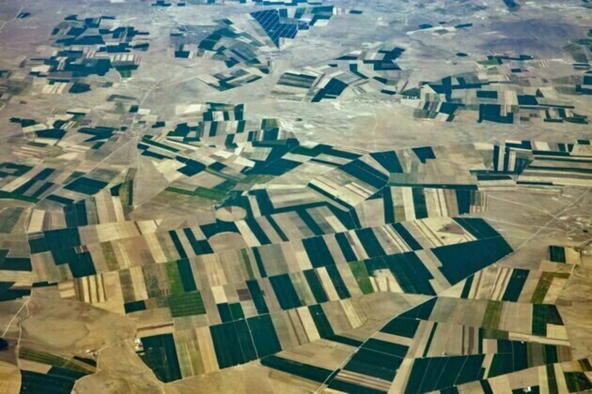 'Heavy metals' contaminate 17% of the world's croplands, say scientists