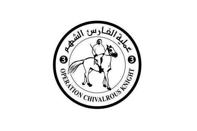 'Operation Chivalrous Knight 3': UAE delivers 6,775 tonnes of aid to Gaza in 325 trucks since border crossings reopening